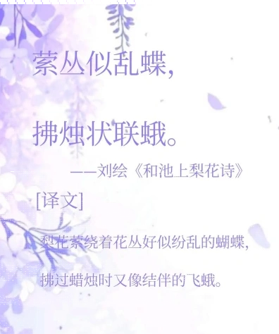 中家