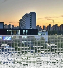 学院