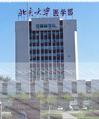 北京大学医学部