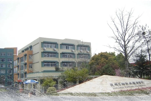 专业