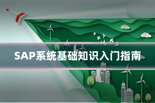 SAP系统基础知识入门指南