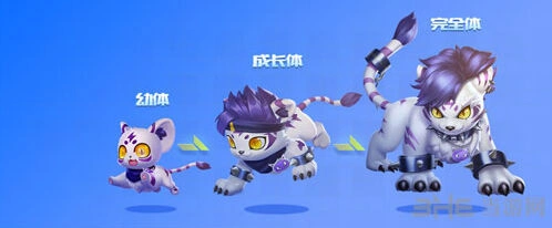 QQ飞车虎力大仙宠物测评攻略