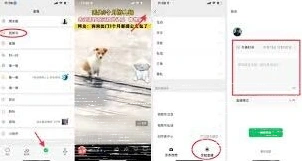 微信视频