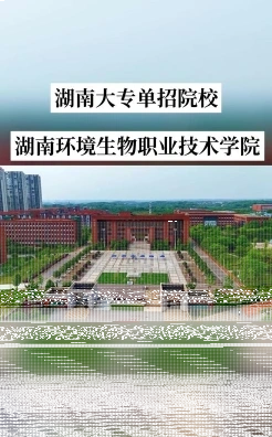 学院