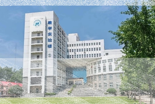 学校