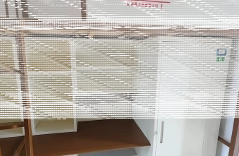 学校