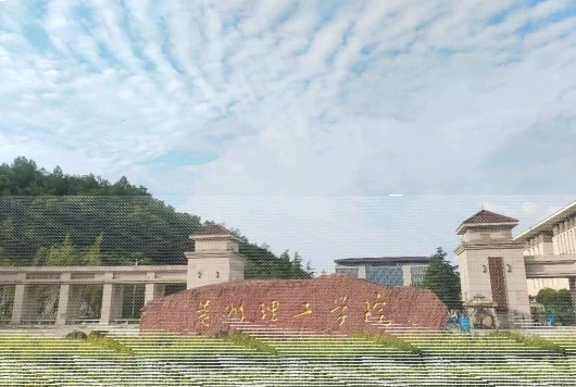 创新型人才