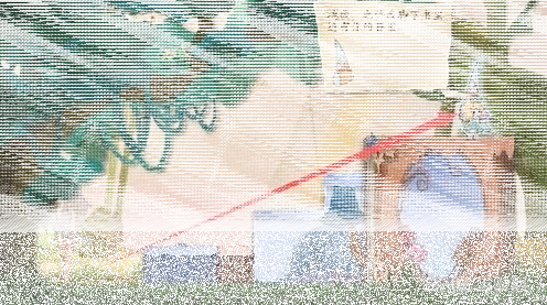 纸片少女攻略