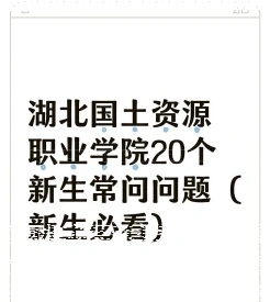 学校