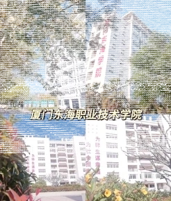 学院