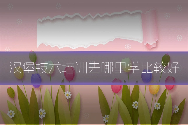汉堡技术培训去哪里学比较好