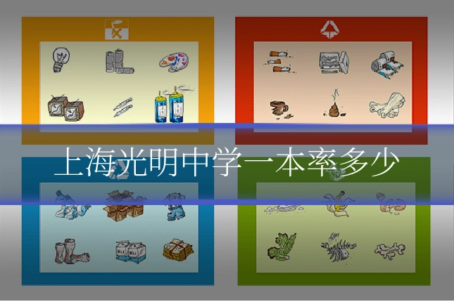 上海光明中学一本率多少