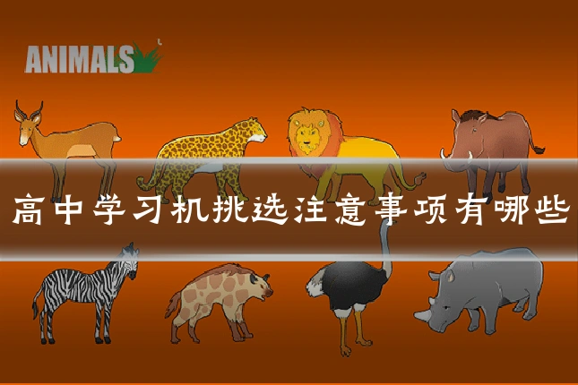 高中学习机挑选注意事项有哪些