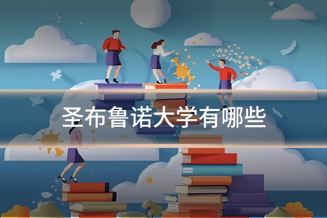 圣布鲁诺大学有哪些