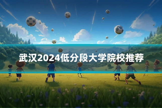 武汉2024低分段大学院校推荐