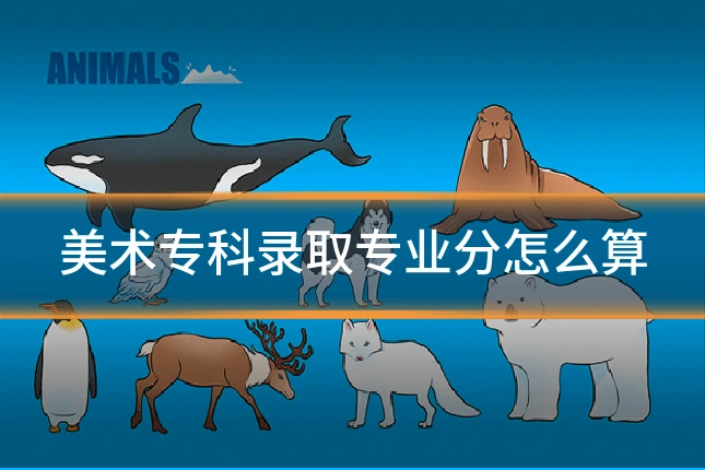 美术专科录取专业分怎么算