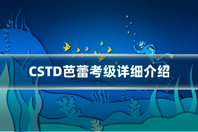 CSTD芭蕾考级详细介绍
