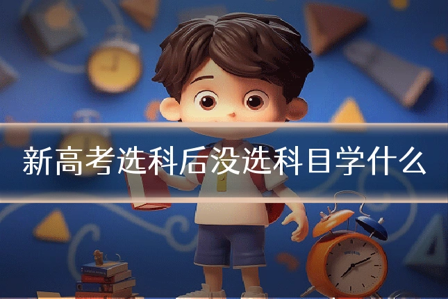新高考选科后没选科目学什么