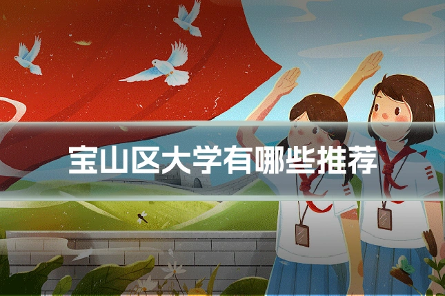 宝山区大学有哪些推荐
