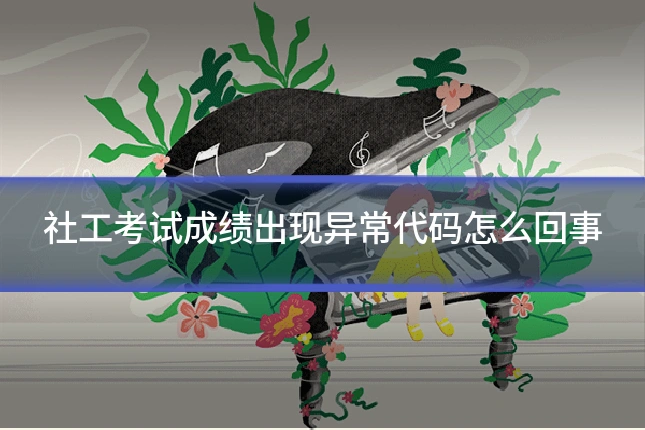社工考试成绩出现异常代码怎么回事