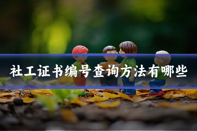 社工证书编号查询方法有哪些