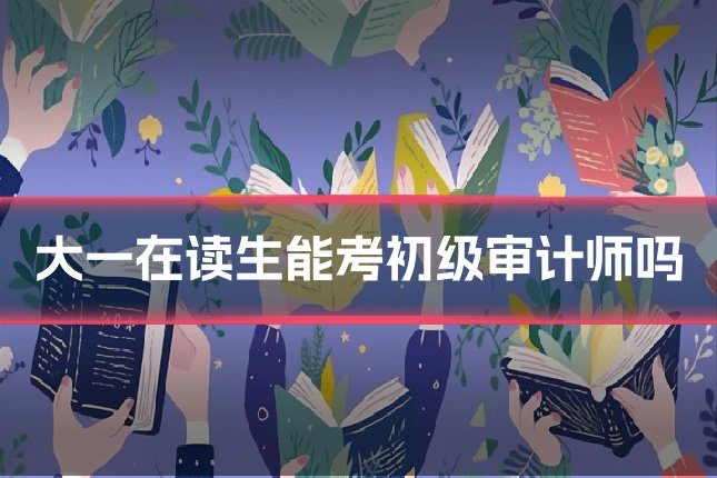 大一在读生能考初级审计师吗