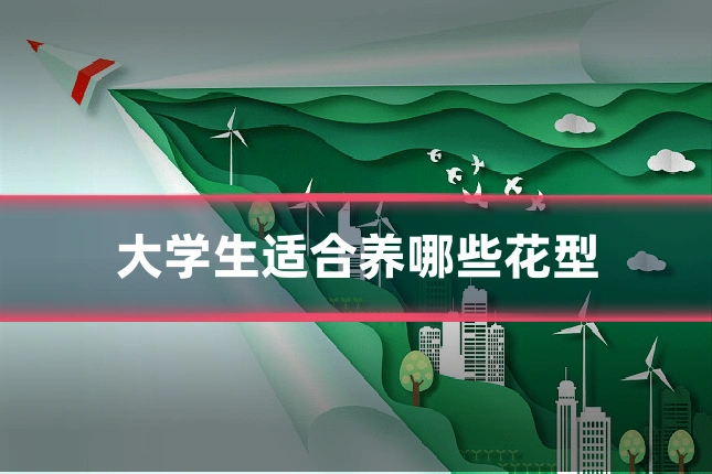 大学生适合养哪些花型