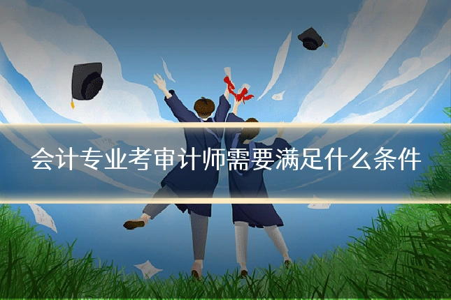 会计专业考审计师需要满足什么条件