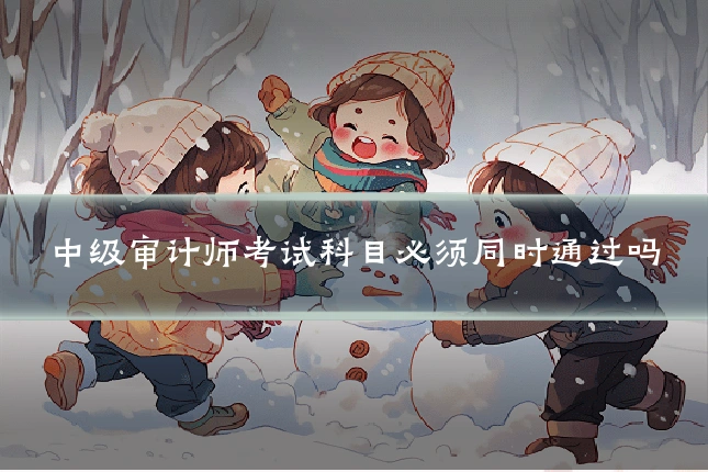 中级审计师考试科目必须同时通过吗