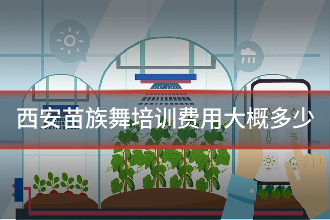 西安苗族舞培训费用大概多少