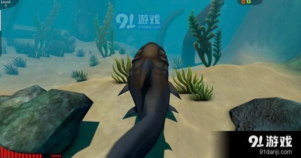 海底大猎杀无法进入 解决方案分享
