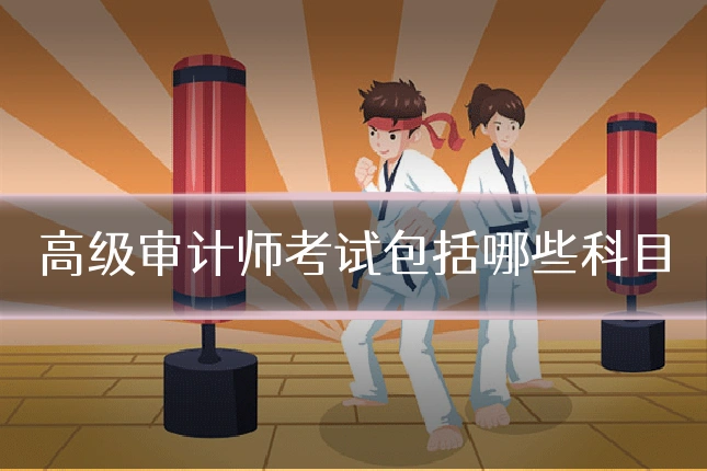 高级审计师考试包括哪些科目