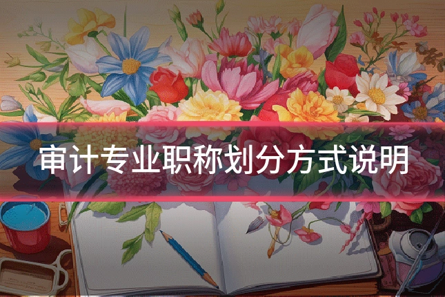审计专业职称划分方式说明