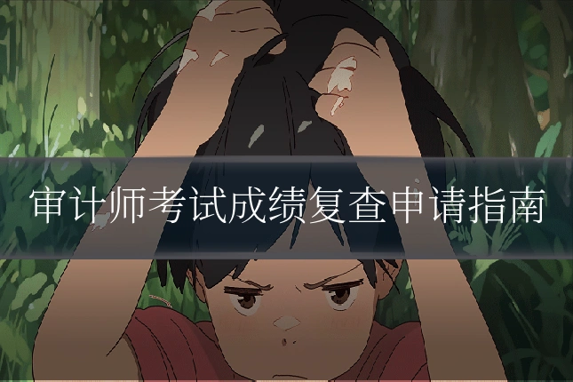 审计师考试成绩复查申请指南