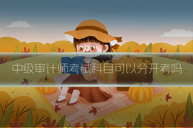 中级审计师考试科目可以分开考吗