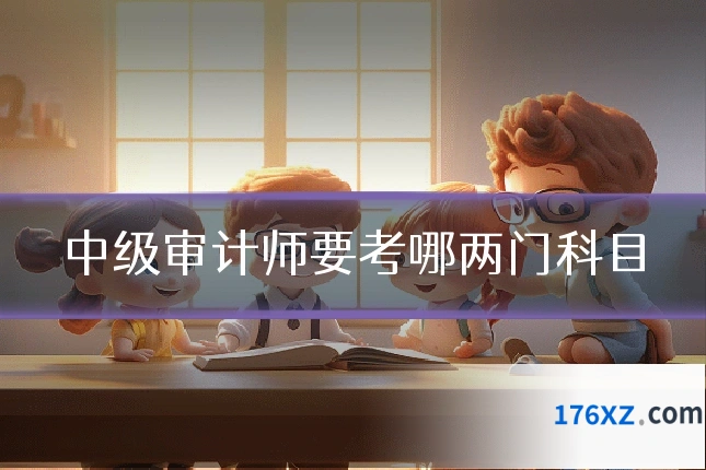 中级审计师要考哪两门科目