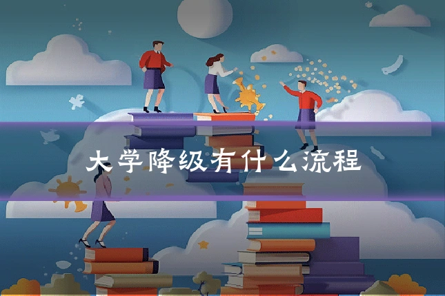 大学降级有什么流程