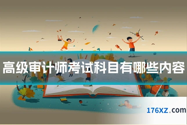 高级审计师考试科目有哪些内容
