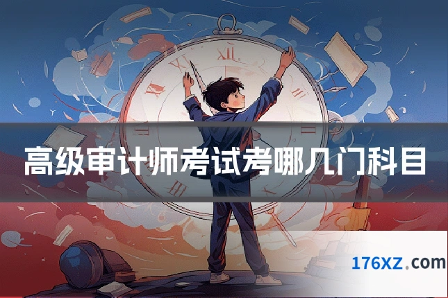 高级审计师考试考哪几门科目