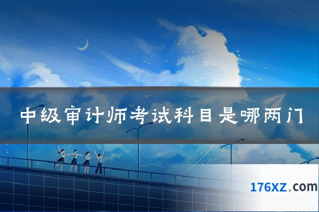 中级审计师考试科目是哪两门