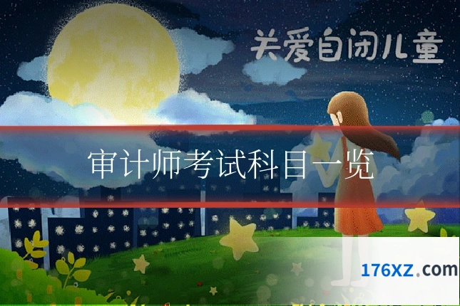 审计师考试科目一览