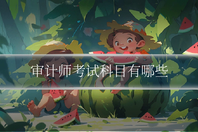 审计师考试科目有哪些