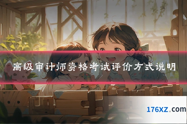 高级审计师资格考试评价方式说明