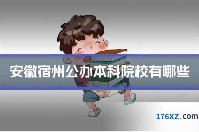 安徽宿州公办本科院校有哪些