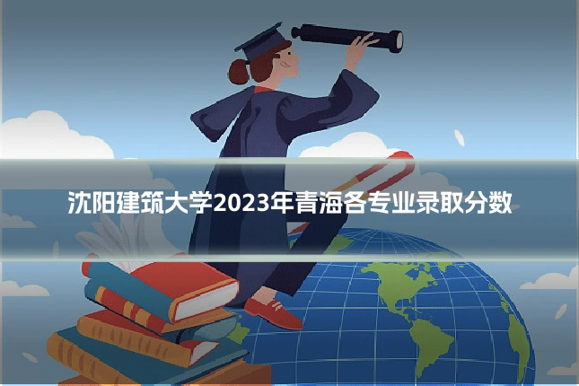 沈阳建筑大学2023年青海各专业录取分数
