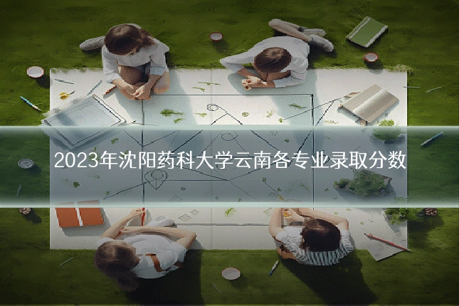2023年沈阳药科大学云南各专业录取分数