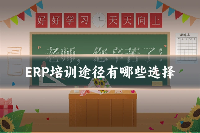 ERP培训途径有哪些选择