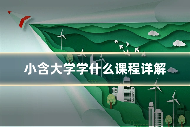 小含大学学什么课程详解