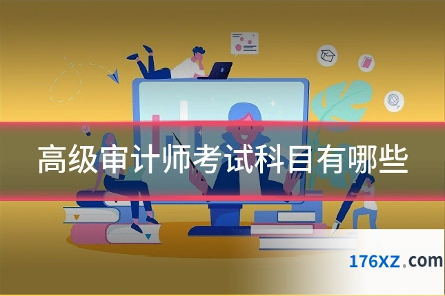 高级审计师考试科目有哪些