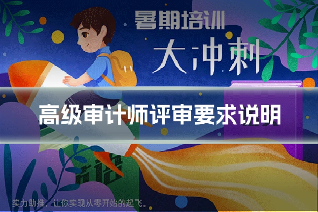 高级审计师评审要求说明